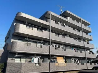 エンリッチFIIIの画像