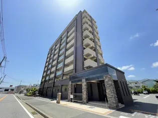 エヴァーグリーン0の画像