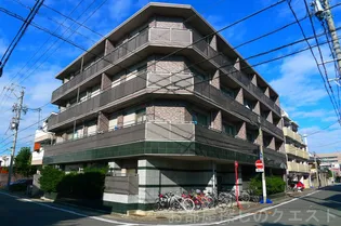 サンドリヨンゴキソの画像