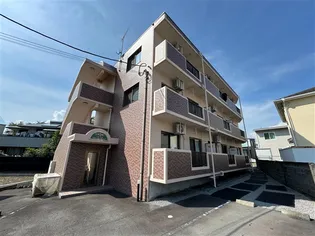 シンセアーノーブルの画像