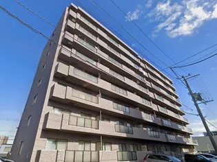 エクシード33の画像