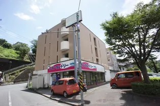 ピュアネスシャインの画像