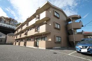 SOCIA YAMANEの画像