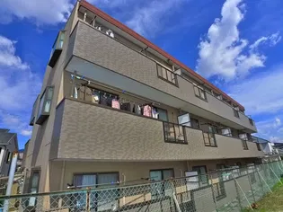 エバーグリーン菊香の画像
