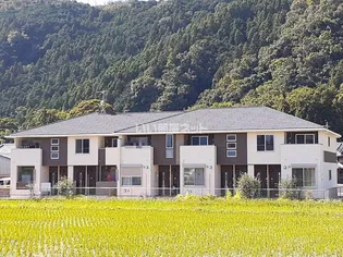 ナルドの画像