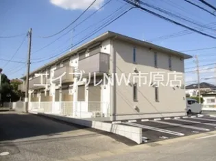 C セミカの画像