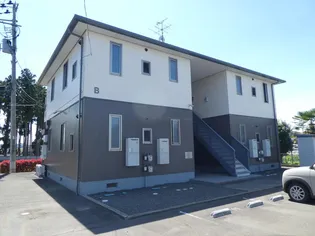 プラティークBの画像