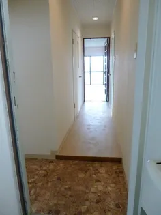 ウインズ今川【3階】の玄関