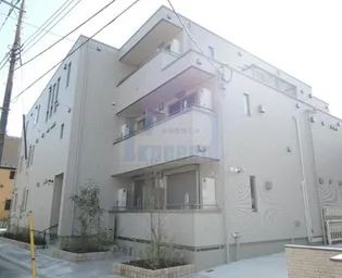 フィカーサ いちょうの木の画像