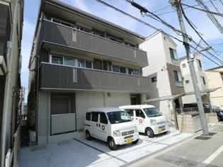 ボアソルチの画像