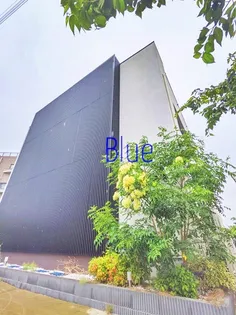 Ashton Hills【1階】の外観