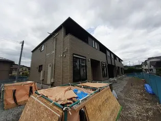 ペニーレインの画像