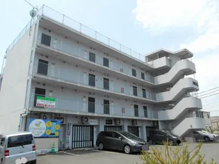 エンゼルの画像