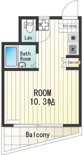 MSハイツ【2階】の間取り