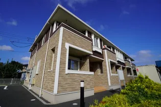 プラシードBの画像