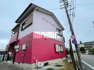 シャンパレスワコーの画像