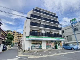 Y'Sフェローの画像