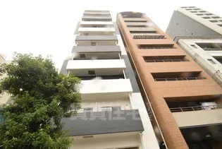 大阪府大阪市浪速区下寺1【マンション】の外観