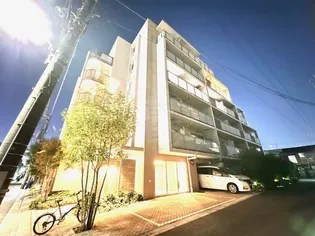 パティーナ大森の画像