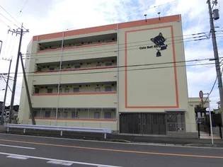 キャッツベル秋山の画像