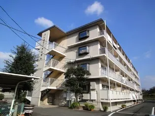 パレロワイヤル【1階】の外観