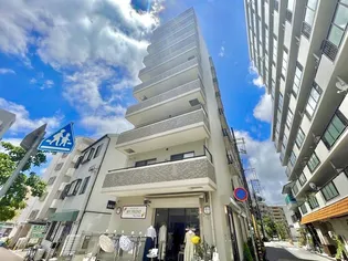 アキュラ灘の画像