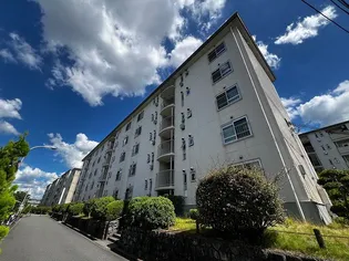 藤阪ハイツ D4棟【5階】の外観