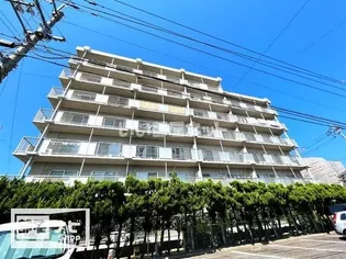 グランドメゾン松島【4階】の外観