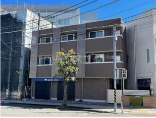 グラース八重咲の画像