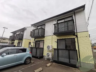 Nコートオキノの画像