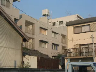 ニューカトレアハイツの画像