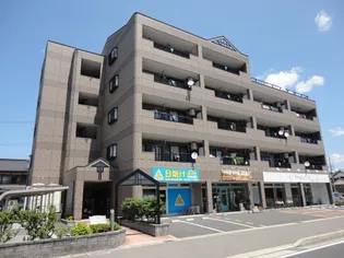 サラーム コロの画像