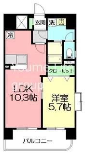 ドメイン藤沢【5階】の間取り