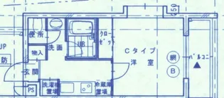 カサベルデ光が丘【3階】の間取り