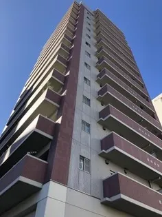 イトーピアマイズ池袋の画像