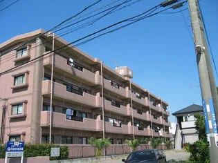 MARUYU第三ビルの画像