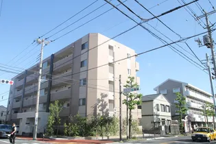 ハイネス川崎の画像