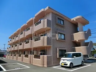 ディオールIIの画像