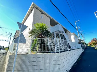 サンシーノの画像