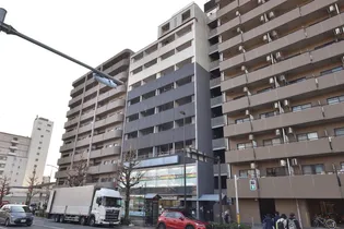 B&ホワイトMの画像