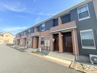 コスモスAの画像