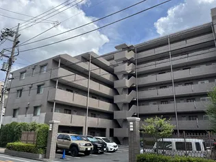 ステラコートの画像