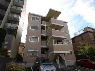 アン坂光の画像