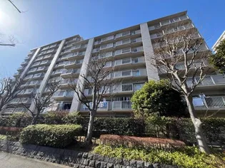 清新南ハイツ12号棟の画像