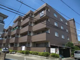 ドエルワイエムの画像