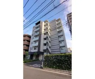 マーシスマルルの画像