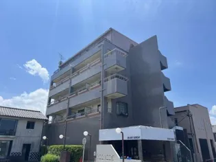 キャピタル壱番館【2階】の外観