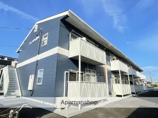 ニューシティ垂木の画像