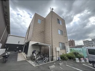 クリサンテーム トキの画像