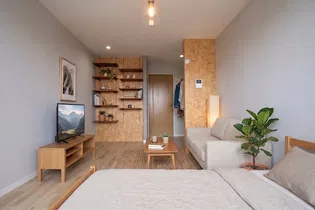 MOAIの画像
